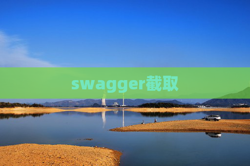swagger截取